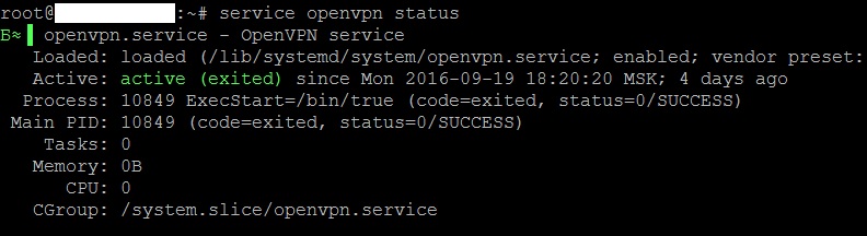 Строим сеть Openvpn